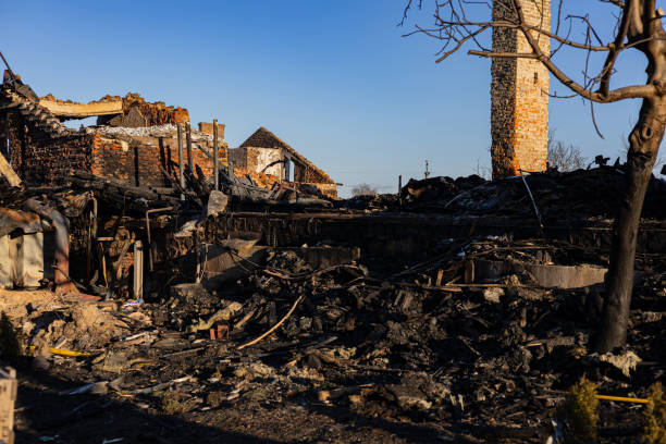 Reliable Content Restoration contractor in Silverdale, WA by Fire Damage Laser Cleaning